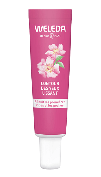 motif de couronne de rose musquée sur fond blanc. image vectorielle à