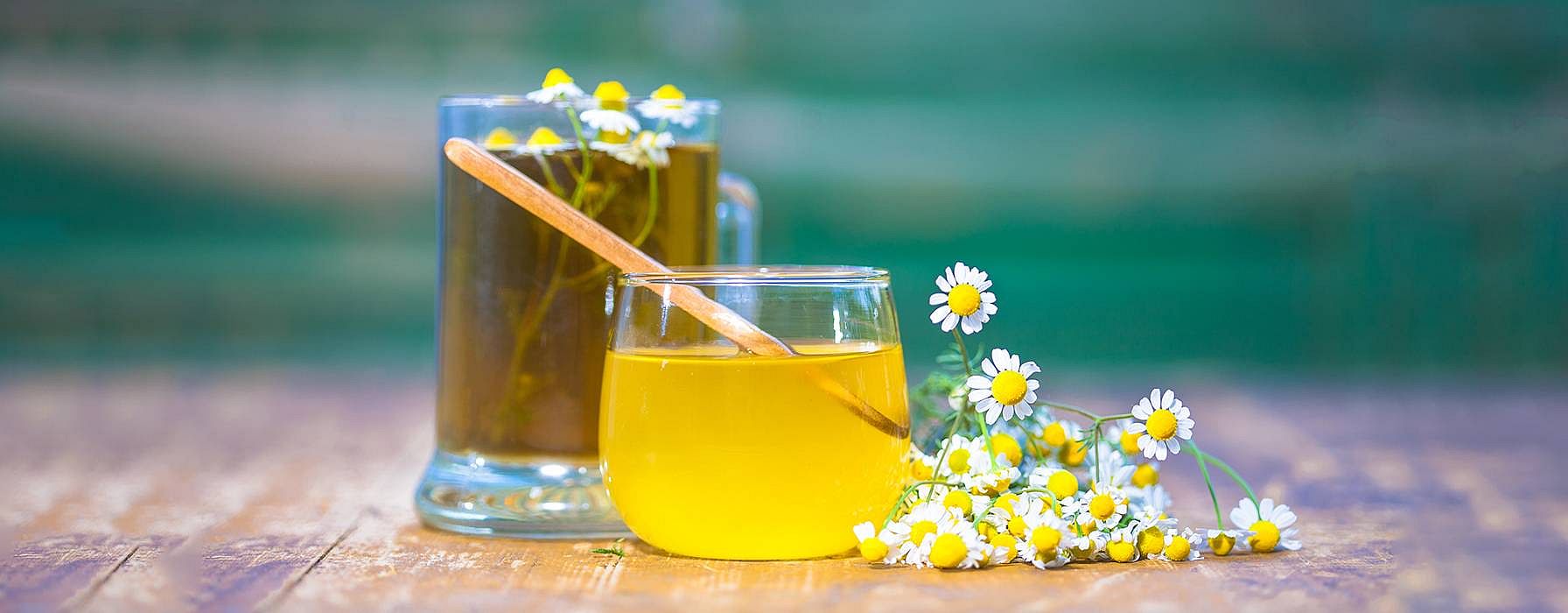 plantes pour retrouver le sommeil