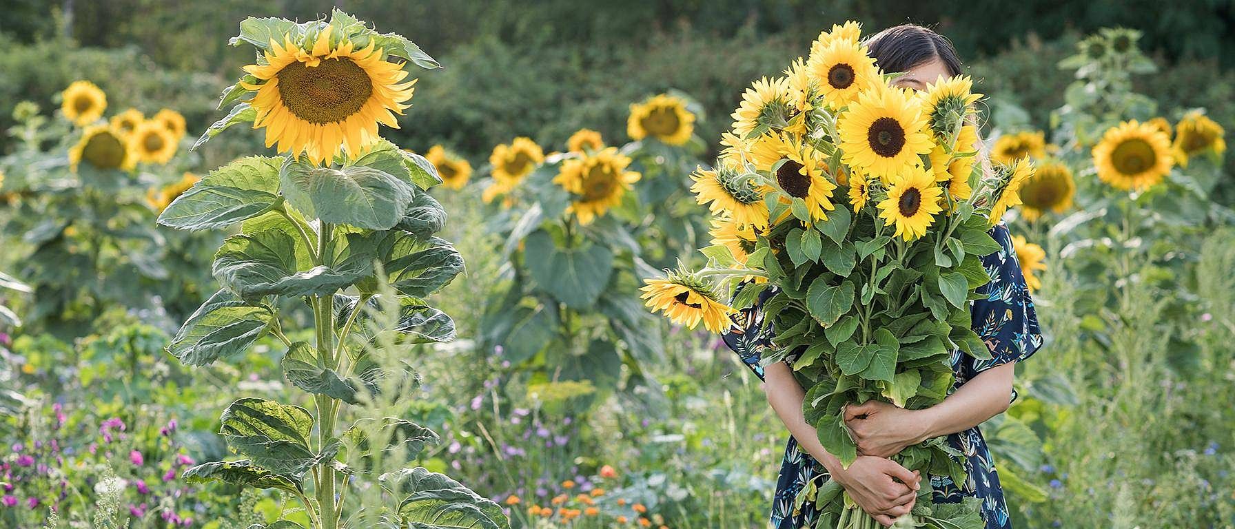 femme dans champ de tournesol