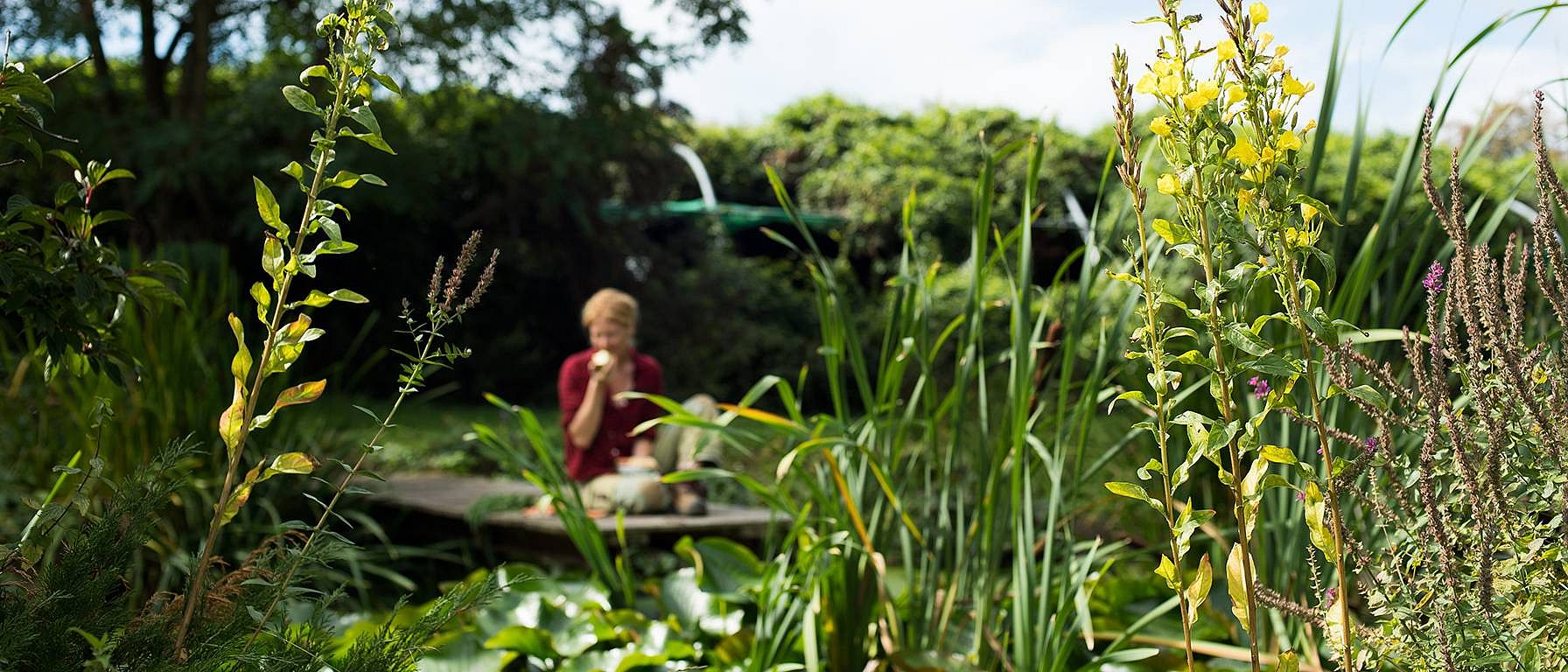 biodiversité