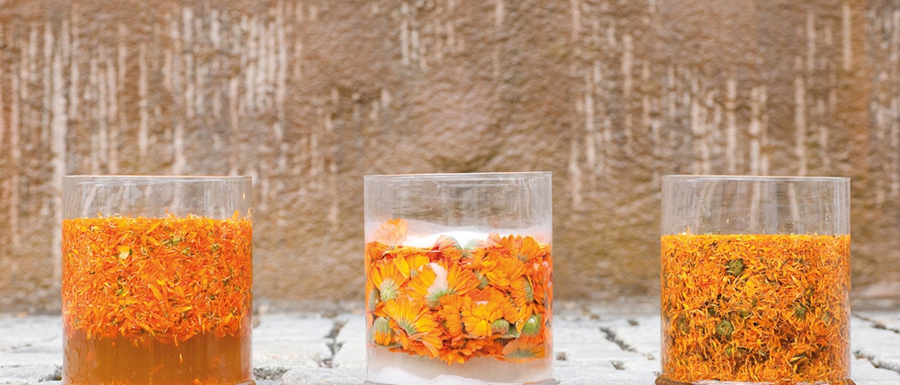 Fleurs de calendula dans des verres