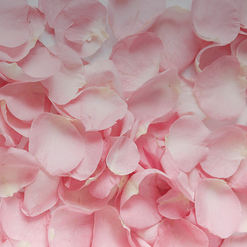Crème de douche rose