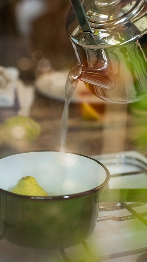 infusion citron