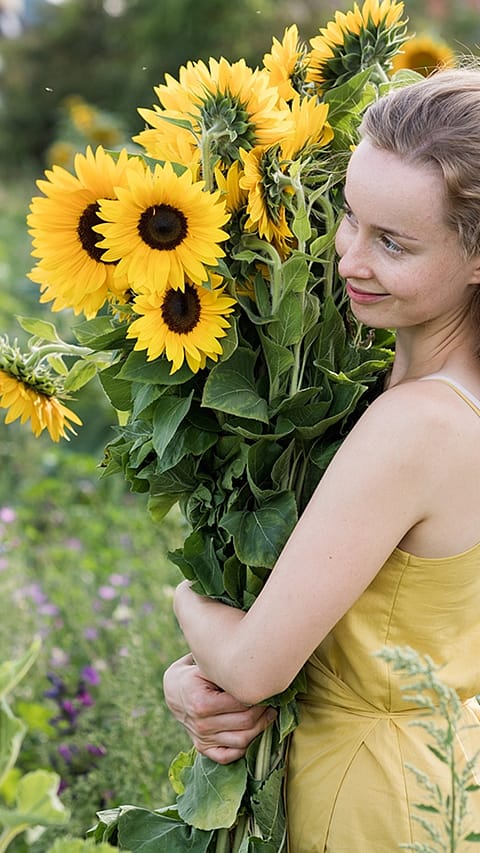 fille et tournesol