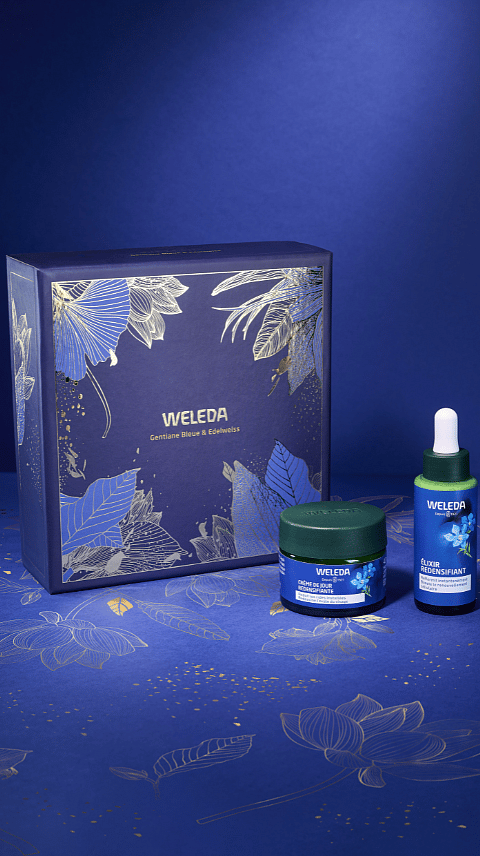 Coffret de noël Gentiane bleue & Edelweiss