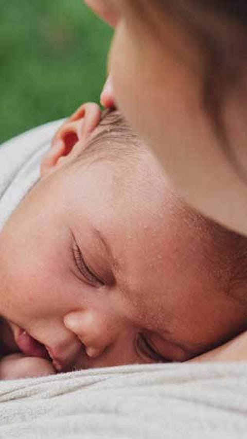 bebe