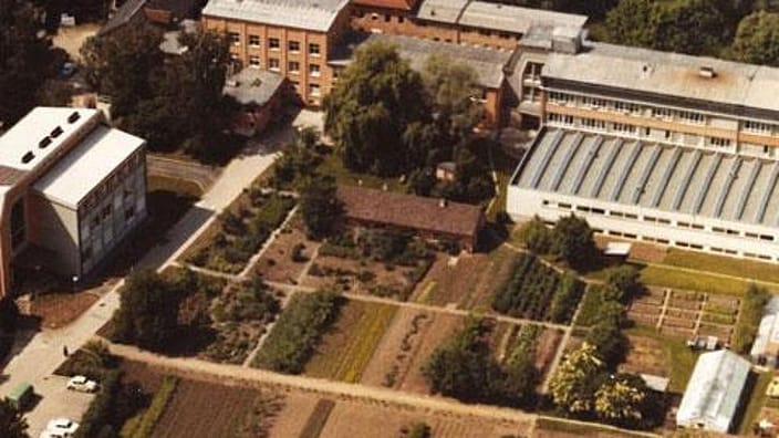 Weleda production