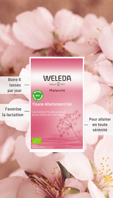 Tisane Allaitement Fruits rouges