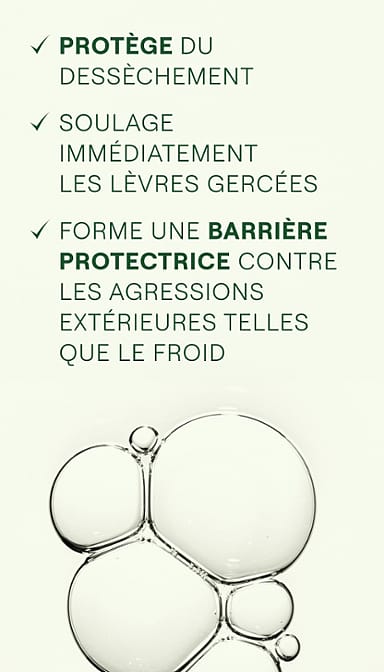 Skin Food Baume Lèvres