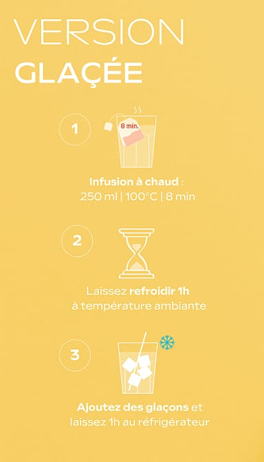 Tisane allaitement bio Citron Gingembre