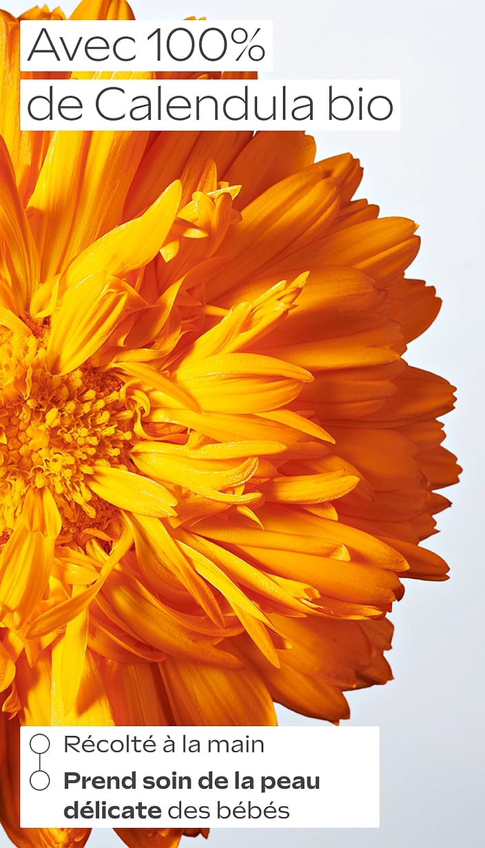 Crème lavante Corps et Cheveux au Calendula