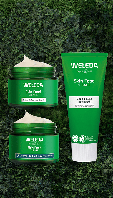 Routine Nourrissante Skin Food visage