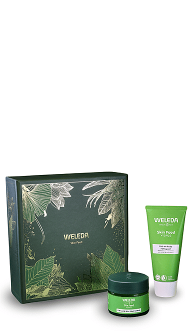 Coffret cadeau Skin Food