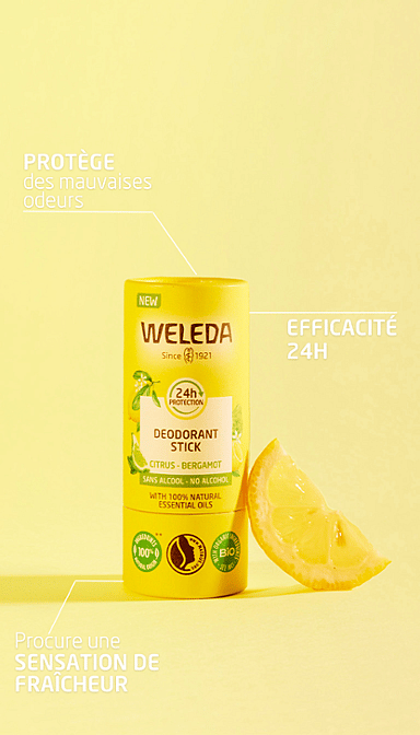 Déodorant solide 24H Citrus Bergamote 