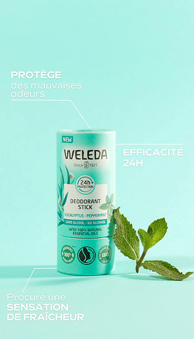 Déodorant solide 24H Eucalyptus Menthe poivrée