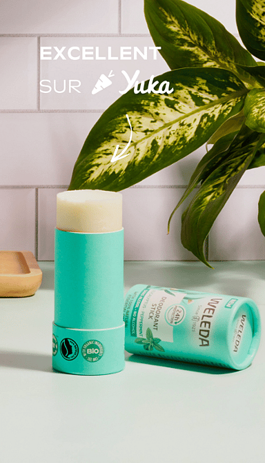 Déodorant solide 24H Eucalyptus Menthe poivrée