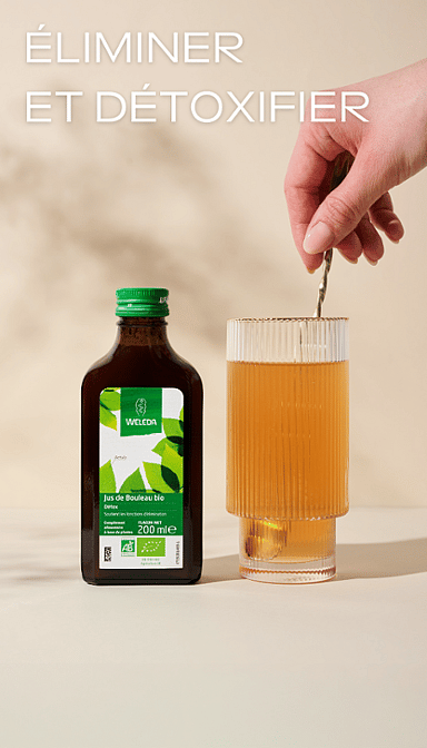 Jus de Bouleau bio