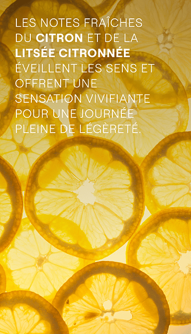 Refresh Crème de Douche Citron Rafraîchissant