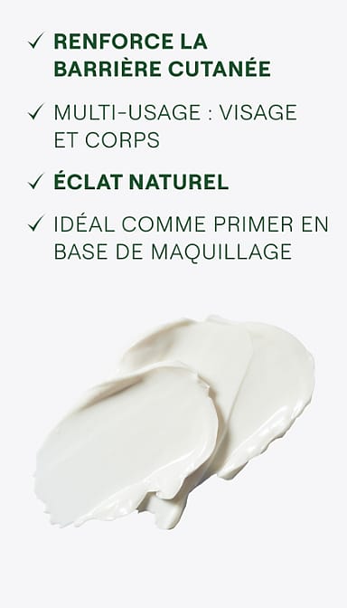 Skin Food Soin réparateur