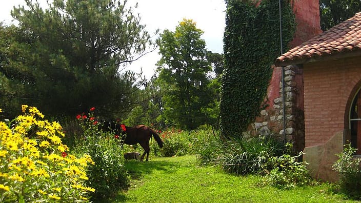 jardins  Argentine