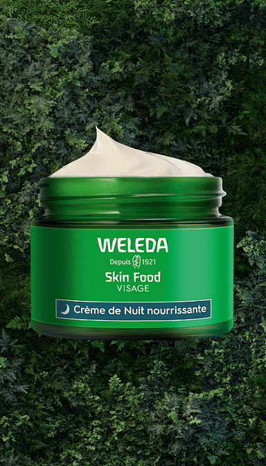 Skin Food Crème de Nuit nourrissante