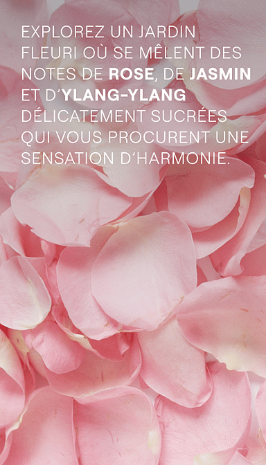 Love Crème de Douche Rose Délicate