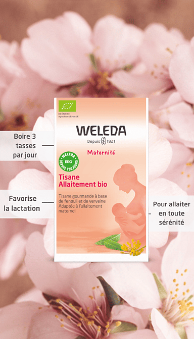 Tisane Allaitement