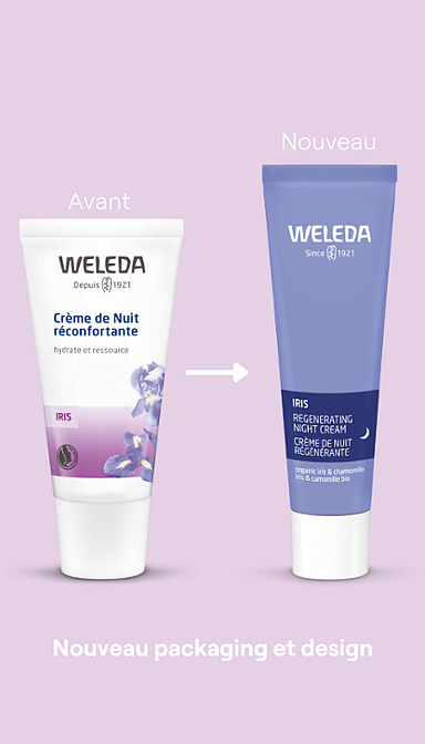 Crème de Nuit régénérante à l'Iris