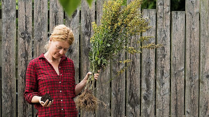biodiversité