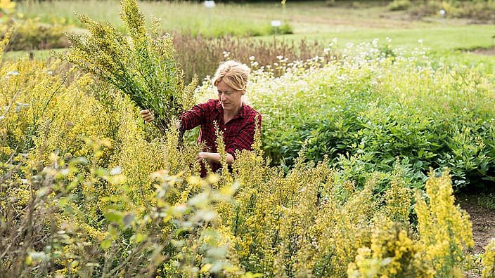 biodiversité