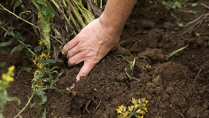 biodiversité