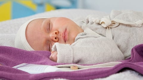 bebe
