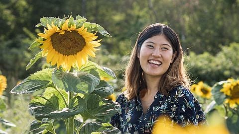 femme dans les tournesols