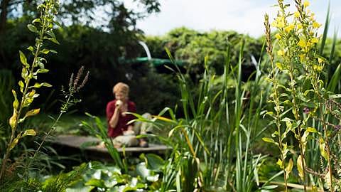 biodiversité