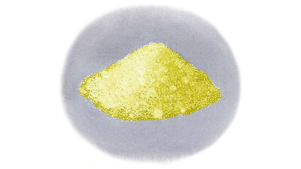 Hydrolyzed Cicer Seed Extract
