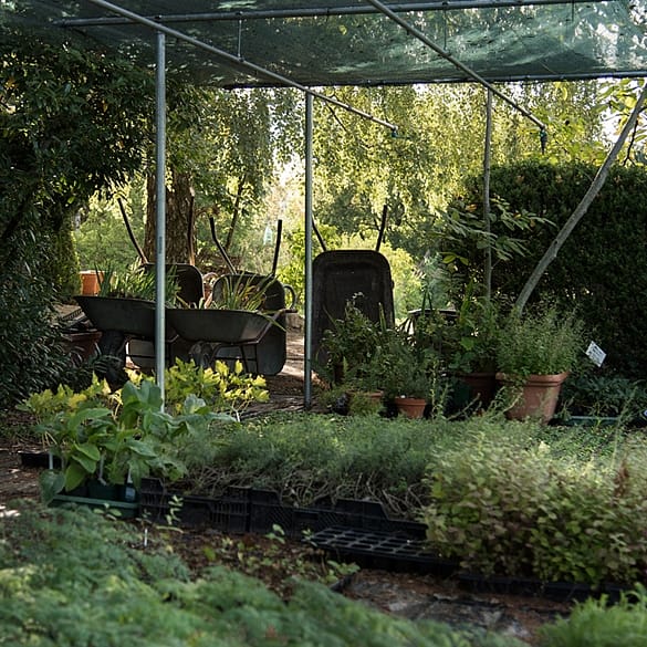 biodiversité
