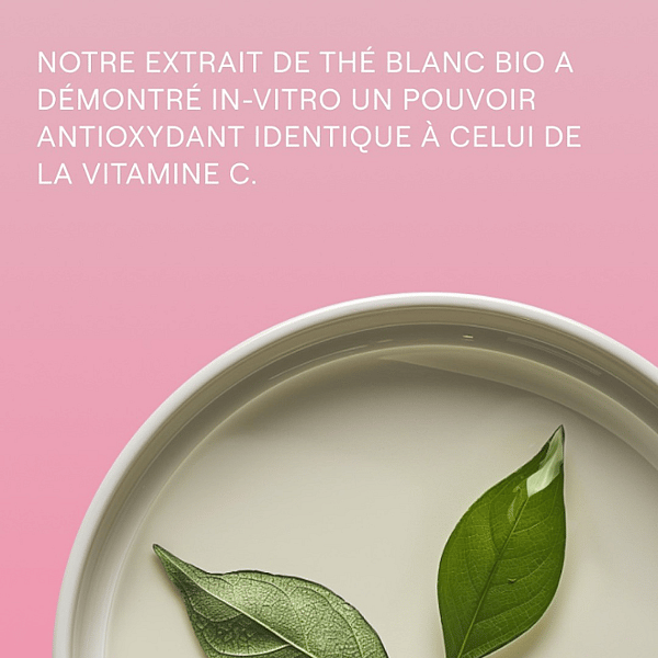 Trousse routine complète Anti-âge Rose Musquée & Thé blanc - Weleda 4