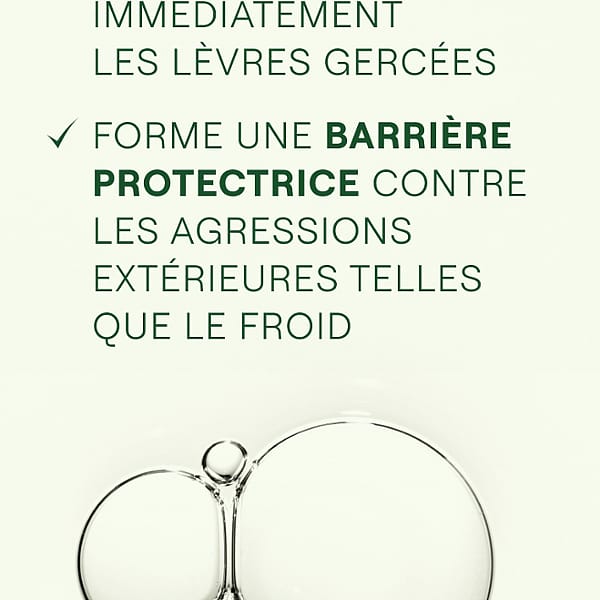 Skin Food Baume Lèvres - Weleda 7