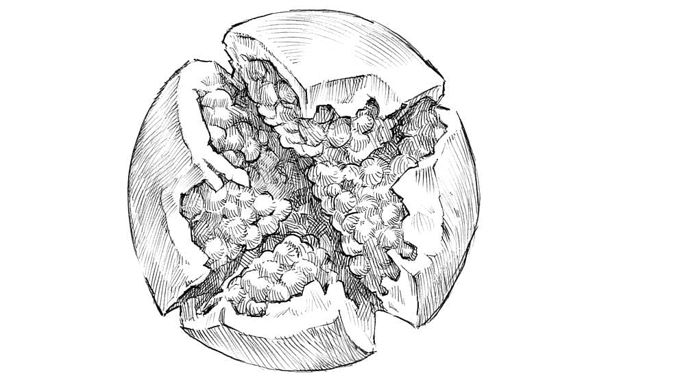 La grenade fleurs