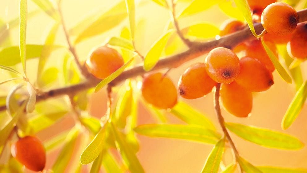 vitamines