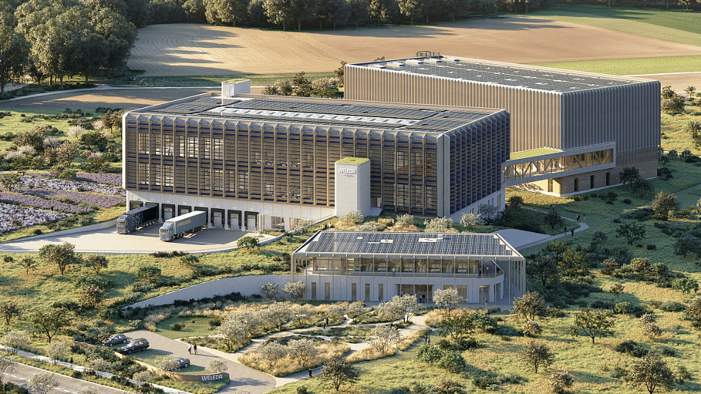 cradle campus