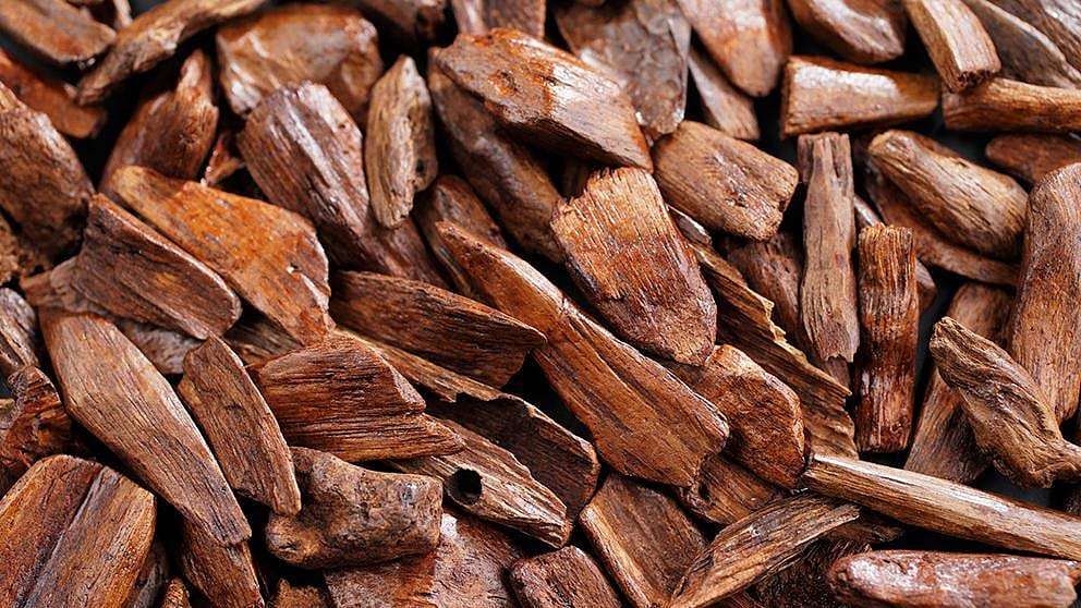 bois de santal