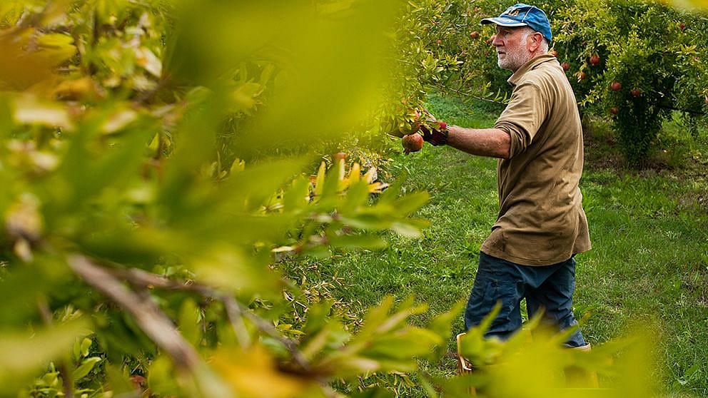 agriculteur