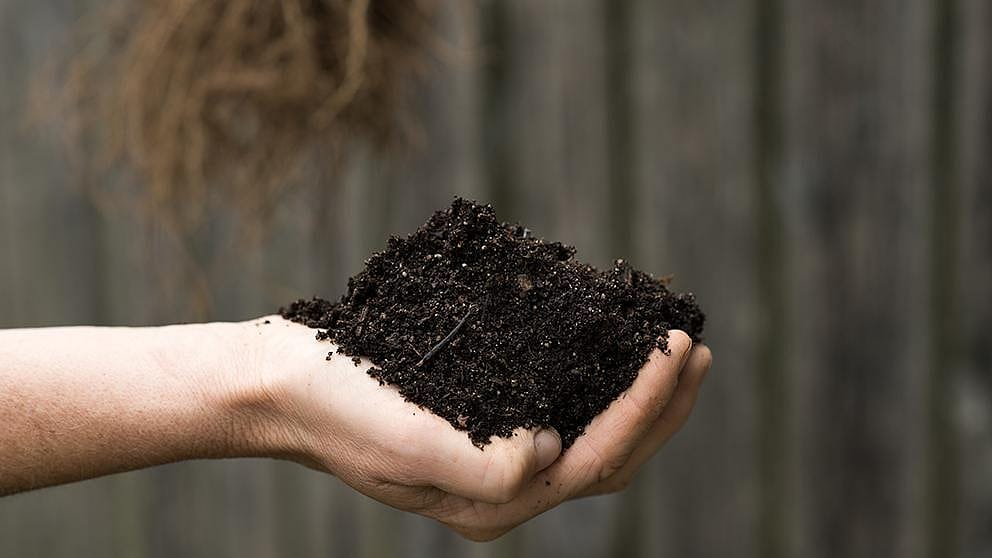 biodiversité